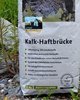 wellwall Kalk-Haftbrücke 2x25 kg Sack